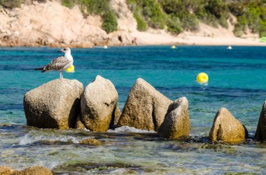 plaj, Sardinya, güneşli bir gün, Ital