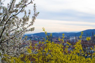Avusturya, Graz, dağ manzarası ve şehir.