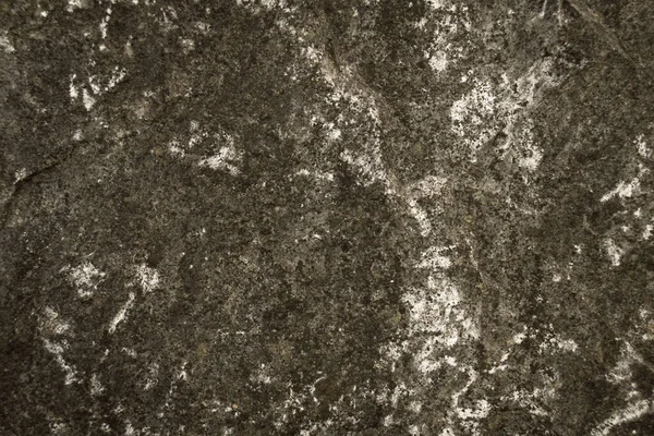 Текстура Фону Бетонної Сірої Стіни — стокове фото