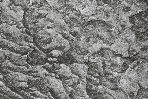 beton gri duvar arkaplan dokusu