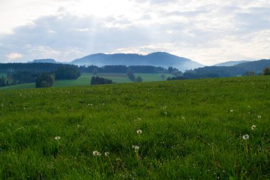  Avusturya, Alp dağları ve manzara, dağlarda yürüyüş..