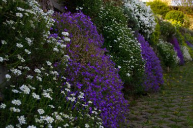  Bahçedeki güzel bahar çiçekleri. Ağaçtaki çiçekler..