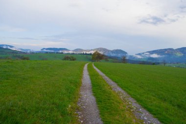 Avusturya, Alp dağları ve manzara, dağlarda yürüyüş..