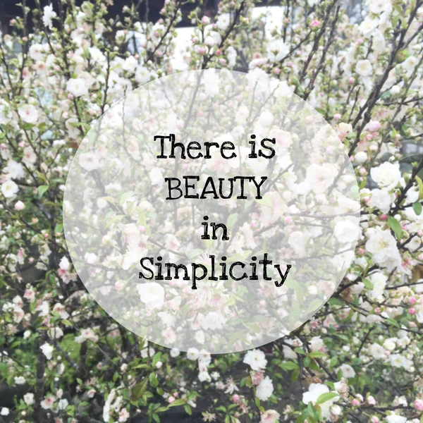 Citazione ispiratrice "c'è bellezza nella semplicità " — Foto Stock
