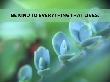 İnspirational alıntı 