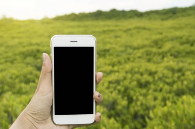 akıllı telefon yeşil doğa arka planda tutan eller kadın.