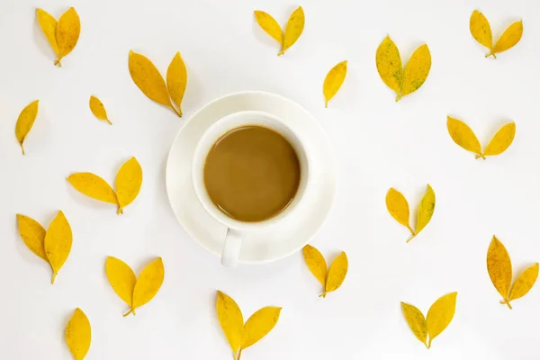 평면 패턴 화이트에가 잎의 커피 한 잔의 누워 — 스톡 사진