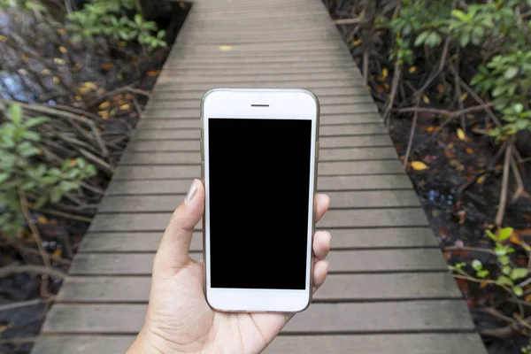 Woman hands holding smartphone on wooden bridge background — Stock Photo, Image