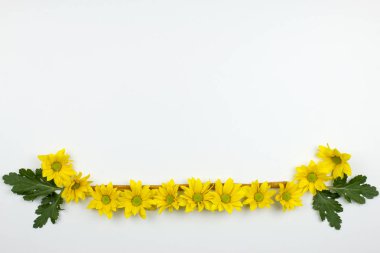 beyaz zemin üzerinde bir vazoda kır çiçekleri. 