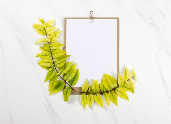 white paper and green leaf on marble table background