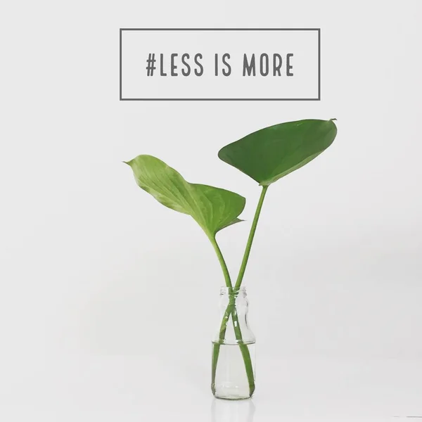 Inspirational Motivational quote "Less is more" on a glass vase. — Stock Photo, Image