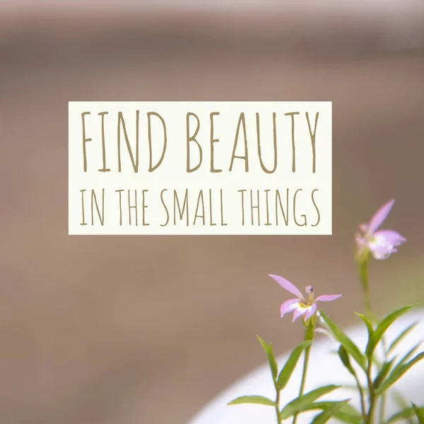 Citação motivacional inspiradora "Encontre beleza nas pequenas coisas " — Fotografia de Stock