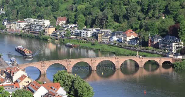 Ship with containers beside the old bridge in Heidelberg — Stock Video