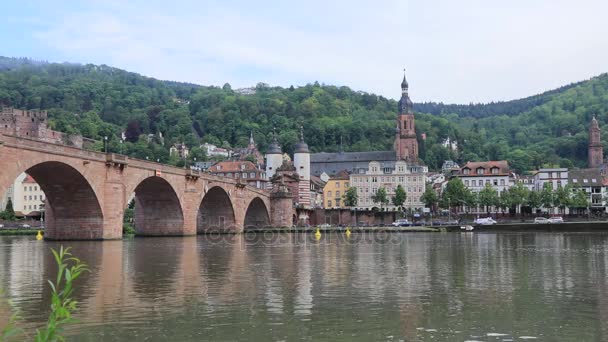 Heidelberg Panorama odráží ve vodě, Německo — Stock video