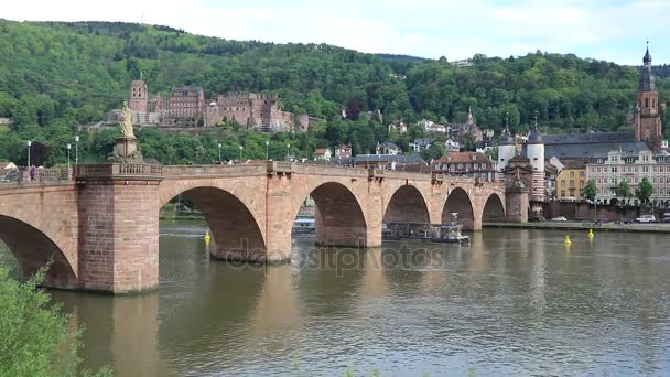 Turist båten passerar gamla bron i Heidelberg, Tyskland — Stockvideo