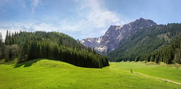 Vista Panorâmica Clareira Vale Prado Pequeno Nas Montanhas Tatra Polônia — Fotografia de Stock