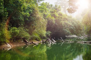 Nehir kenarında mağara