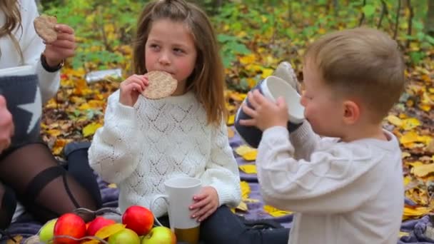 Sohn und Tochter sitzen beim Herbstpicknick. — Stockvideo