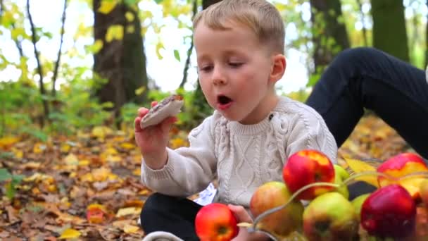 Niño come pan de jengibre y manzana roja en el bosque de otoño . — Vídeo de stock