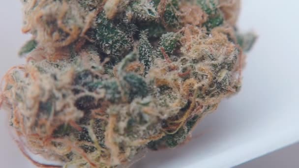 Gros plan sur la marijuana médicale dans un sac chez un dealer . — Video