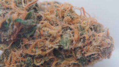 Tıbbi marihuana kullanımı.