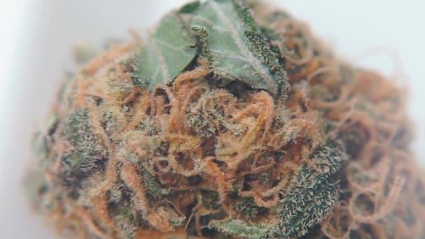 Medische marihuana. Verandering in de mentale toestand van een persoon. — Stockvideo