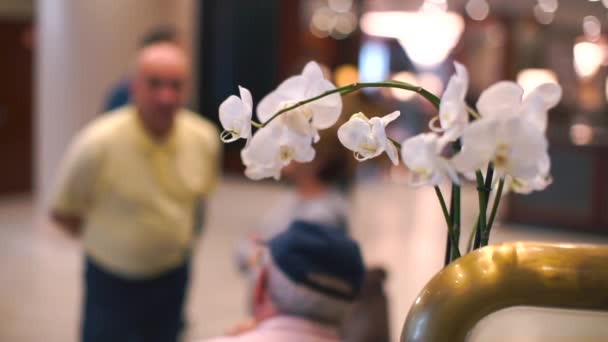 Un primo piano di un fiore. Sullo sfondo c'è un uomo . — Video Stock