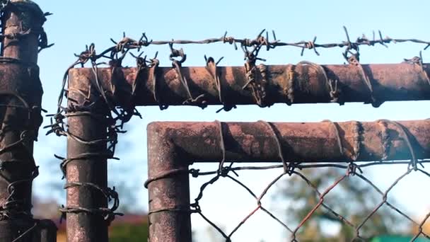 Taggtråd på ett fängelse staket — Stockvideo