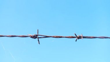 Dikenli tellere yakın çekim.