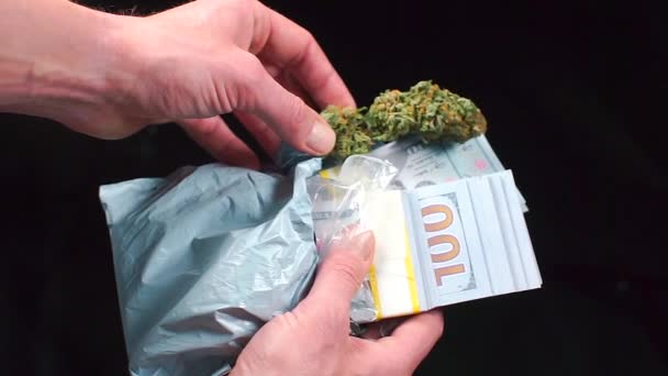 A drug dealer holds in his hands a lot of US dollars and narcotic marijuana. — ストック動画