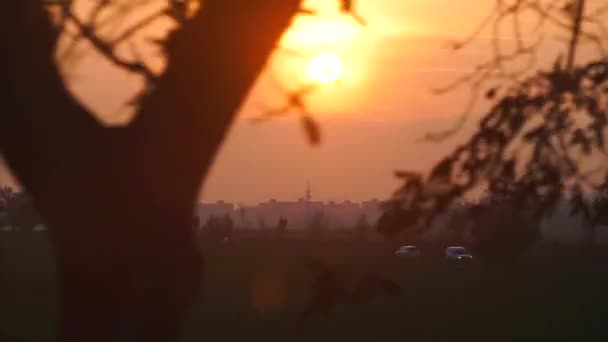 Pomarańczowe słońce. Widok z okna jadącego samochodu. — Wideo stockowe