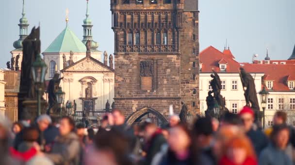 Blick auf den Turm der Altstadt. — Stockvideo