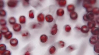 Koyu kırmızı boncukları mücevher üretiminde beyaz bir plakaya döküyorlar..