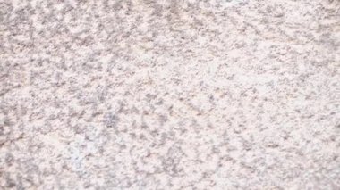 Düğün arka planda beyaz.