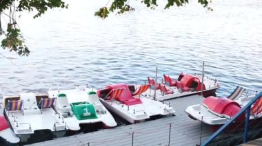 Katamaranlar şehir parkındaki bir nehirde park halindeler.