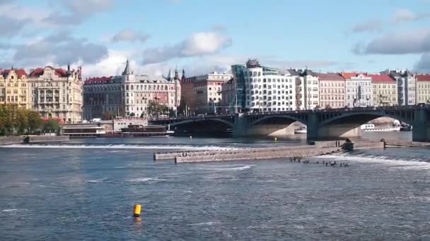 Dancing house in the old town on the promenade in Prague. — Stock Video