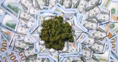 Tıbbi marihuana Amerikan doları..