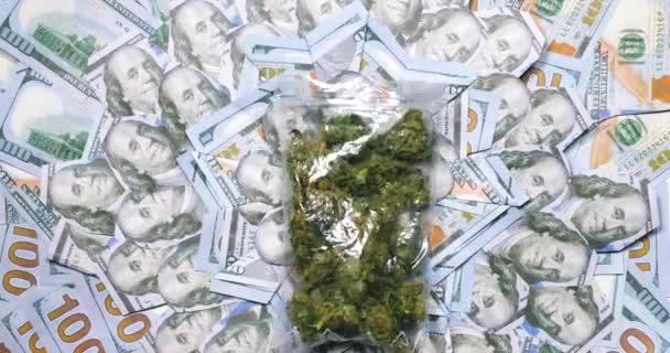 Cannabis en billetes de cien dólares USA . — Vídeo de stock