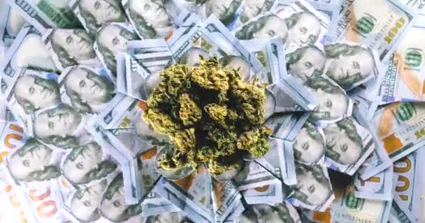 Medyczna marihuana leży na wirujących banknotach sto Nas dolarów — Wideo stockowe