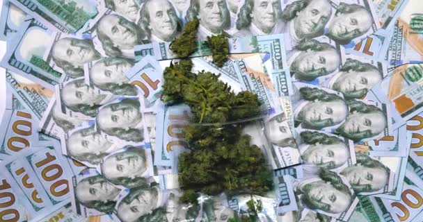 Een zak glijdt uit van cannabis op honderd US dollar biljetten. — Stockvideo