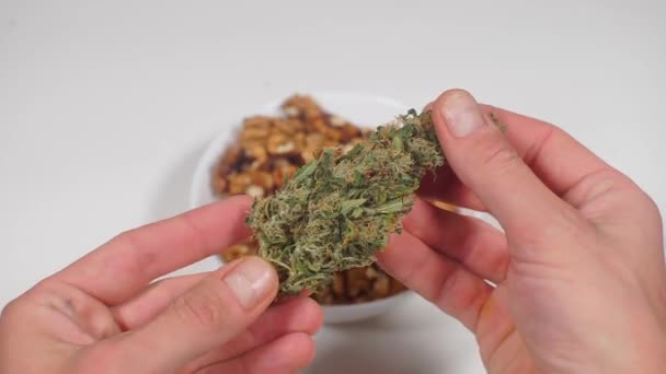 Polizist untersucht Cannabis-Knoten — Stockvideo