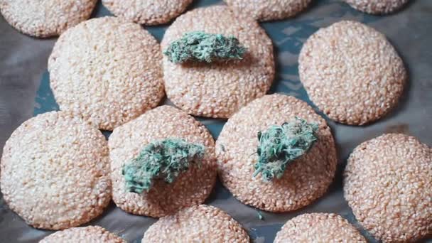 Medical cannabis lies on sesame cookies — Stock Video