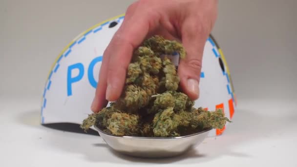 Een politieagent raakt hobbels marihuana aan, cannabis, bij de inscriptie politie — Stockvideo