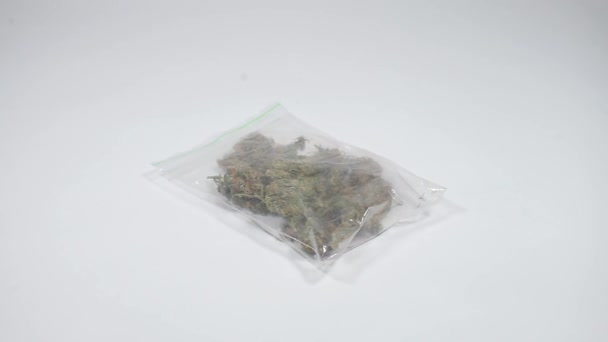 Dealer ramasse un sac de cannabis médical — Video