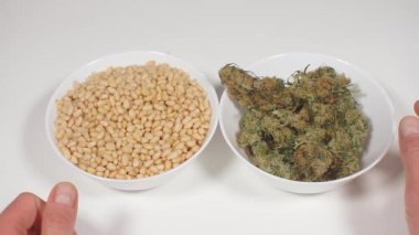 fındık ve marihuana bitkileri, sağlıklı beslenme