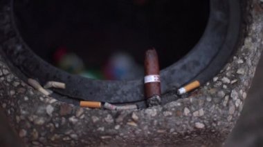 Pahalı bir puro koçanı çöpün kenarında duruyor.