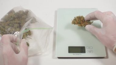 Sağlıklı besinler hazırlanmadan önce kenevirin kalite kontrolü