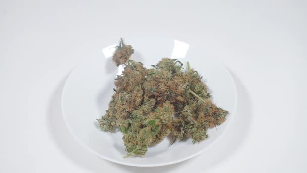Test di laboratorio e dimostrazione di droga, cannabis erbaccia — Video Stock