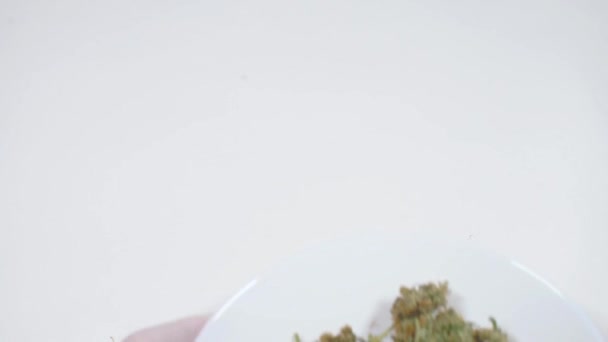 Marihuana en un plato blanco sobre un fondo blanco, primer plano — Vídeos de Stock