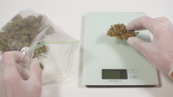 Controlo da qualidade da cannabis antes de preparar alimentos saudáveis — Vídeo de Stock